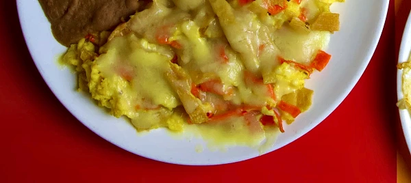 Migas — eggs cooked with tortilla chips under melted white cheese and strips of red chile, with refried beans alongside.